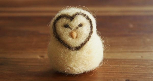 owl-love-berdook